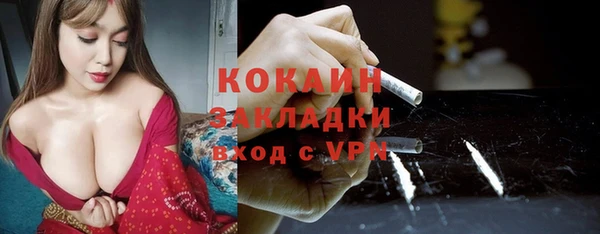 apvp Верея