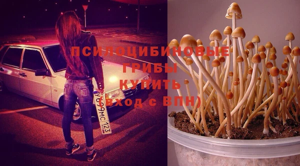 гашик Володарск