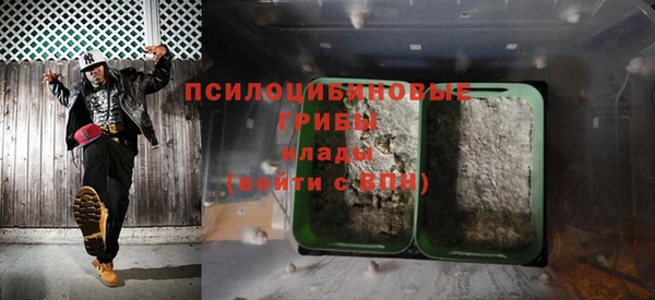 apvp Верея